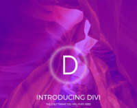 Divi v4.24.1 Theme + 1000 Premade Layouts